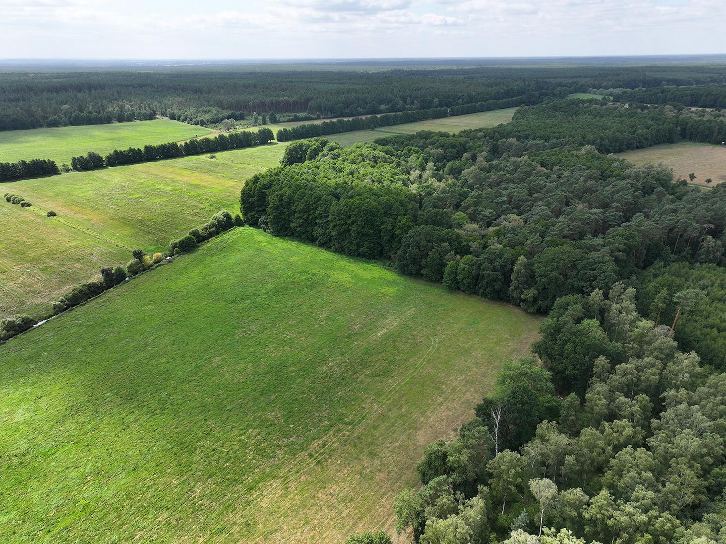 Blick Richtung Süd-West 