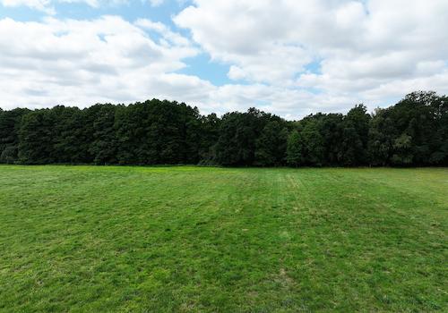 Blick über die Wiese 
