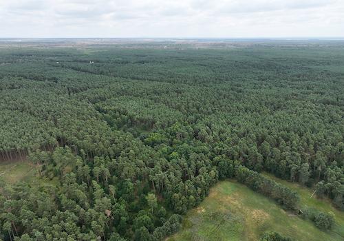 Blick Richtung Osten