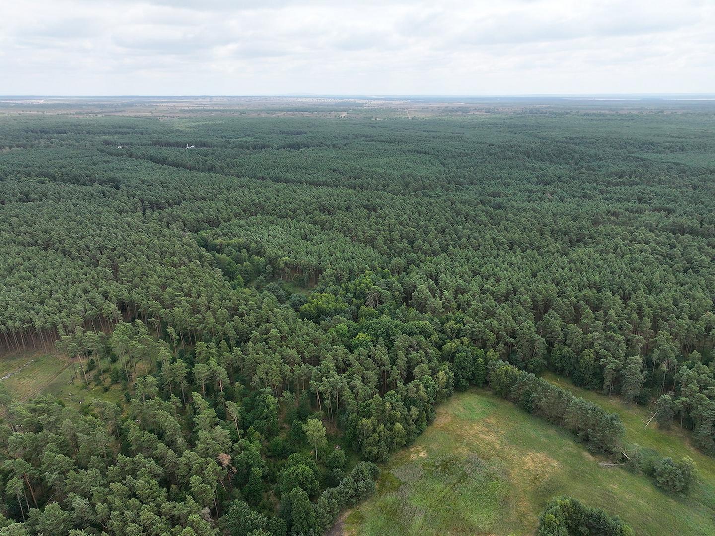 Blick Richtung Osten