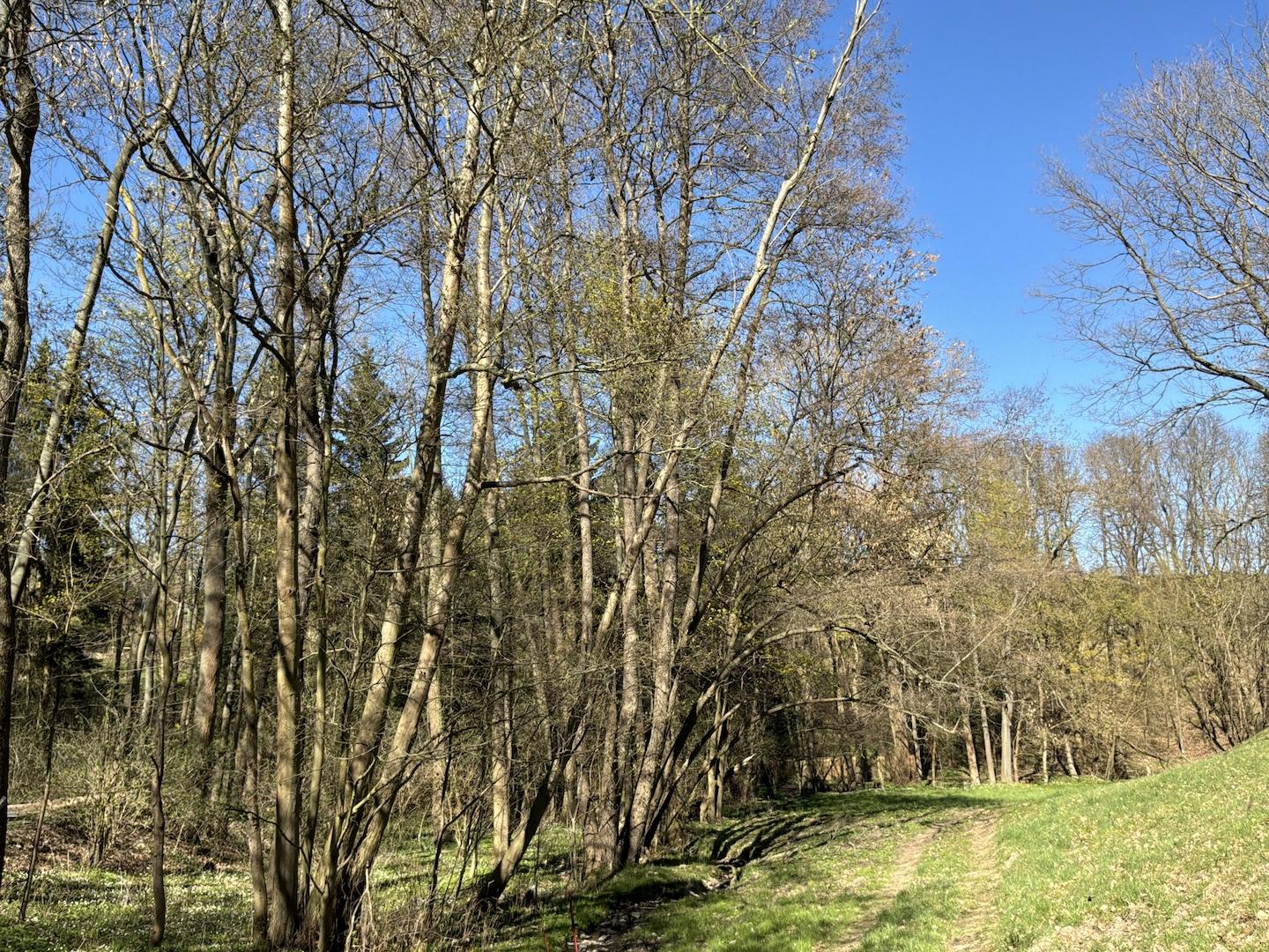 Blick auf das Flurstück
