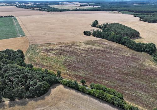 Blick über die Landwirtschaftsfläche 