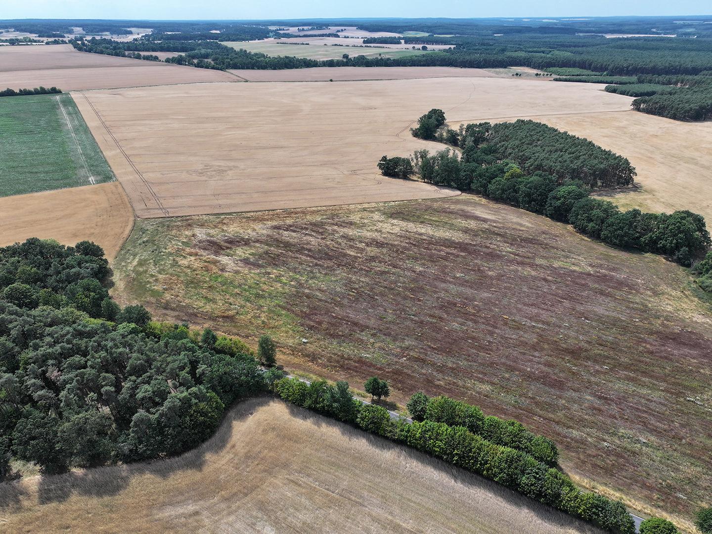 Blick über die Landwirtschaftsfläche 