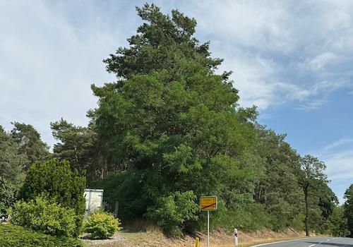 Blick von der öffentlichen Straße 