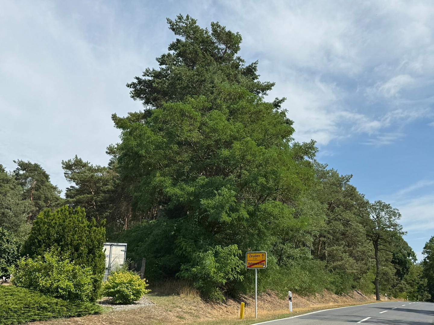 Blick von der öffentlichen Straße 