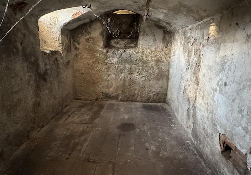 Blich in den Keller