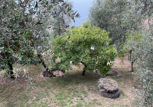 Balkongartenblick