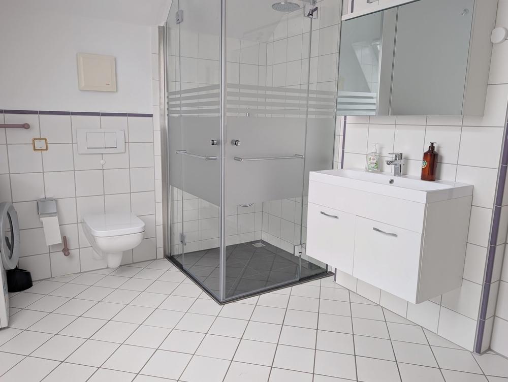 Blick in das moderne Duschbad