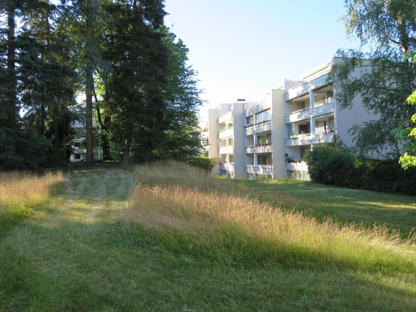 Garten Haus Rückansicht
