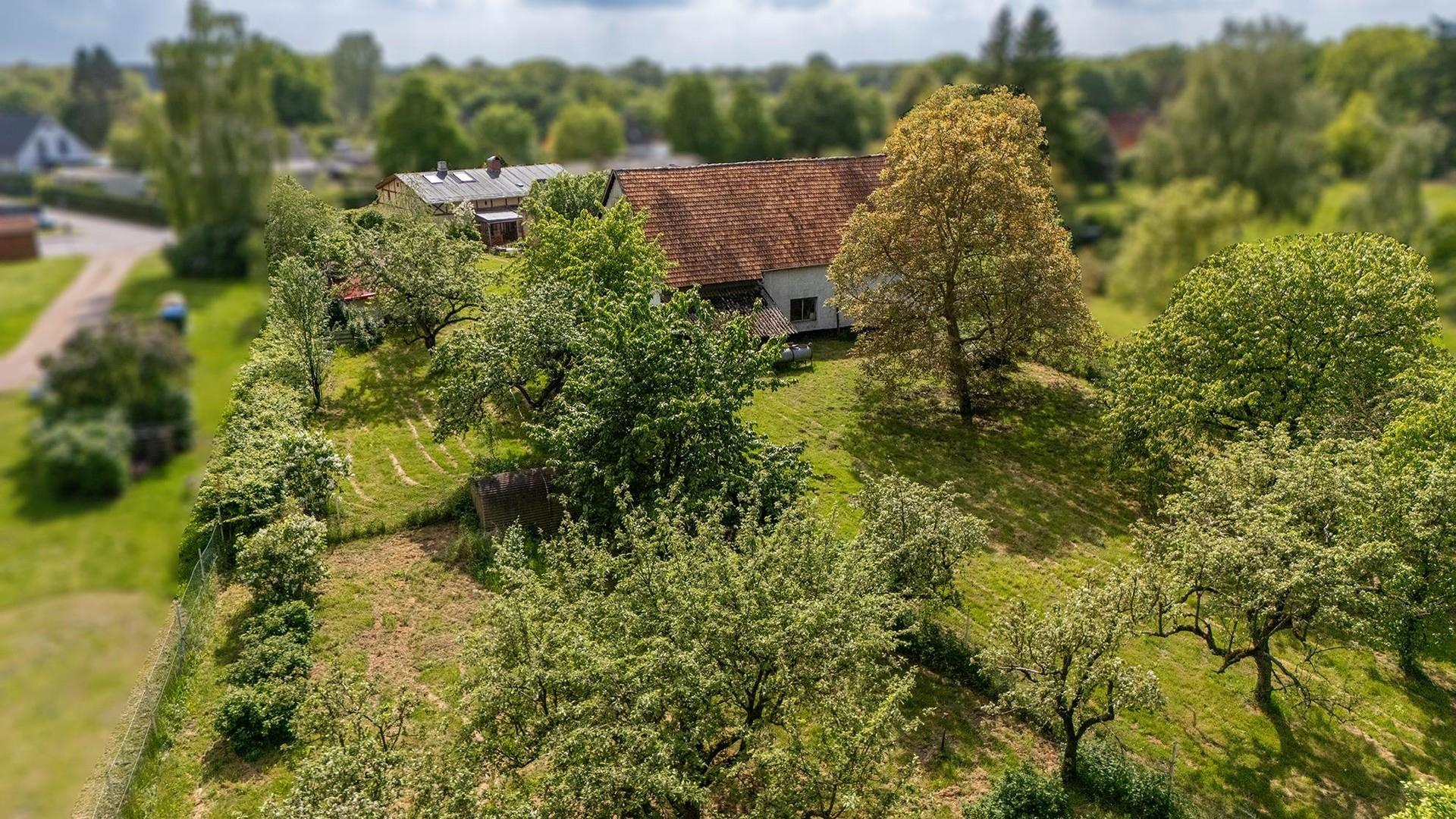 Ansicht des Gartenteils