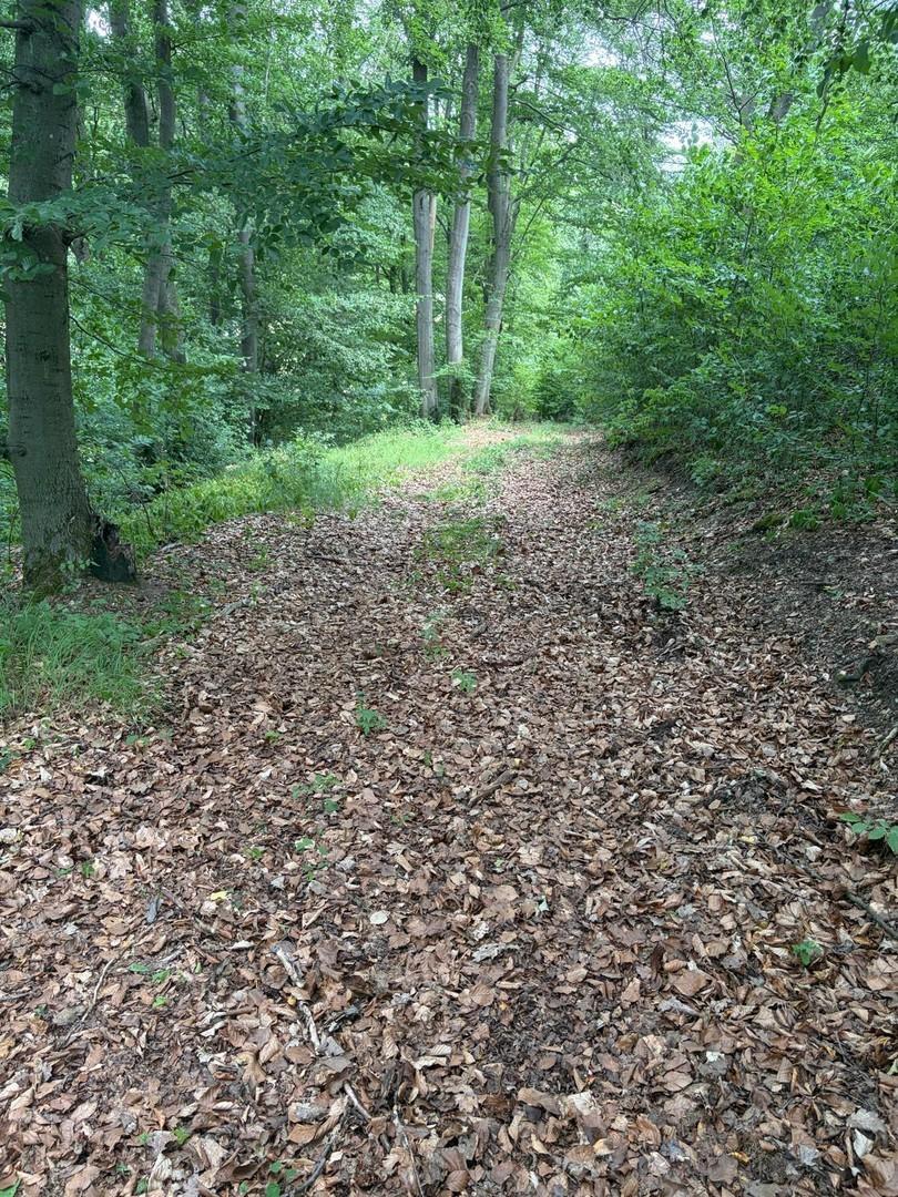 Zuwegung zur Klause