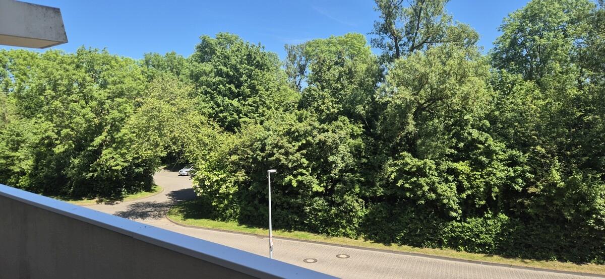 mitten im Grünen