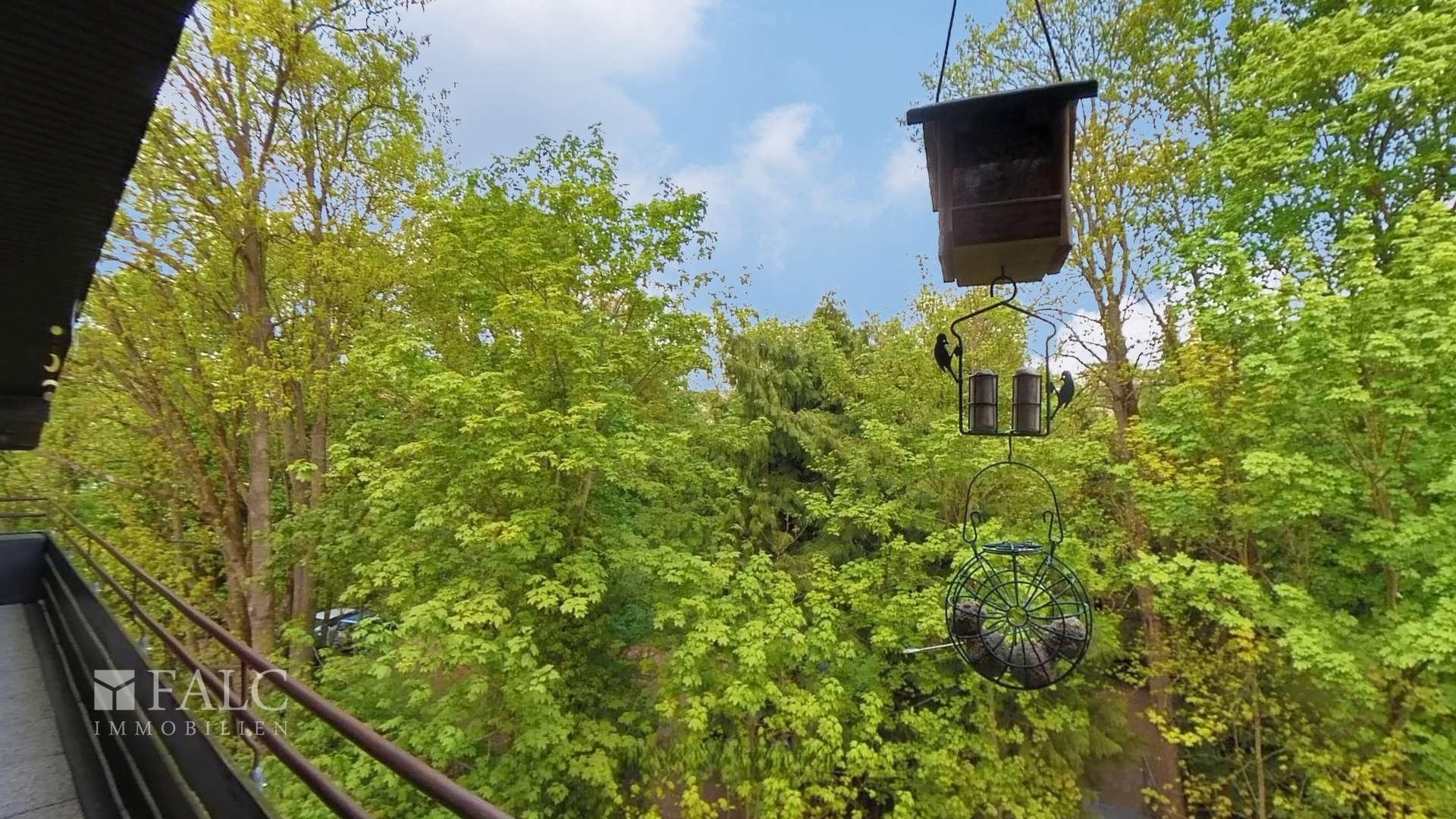 Blick nach hinten raus