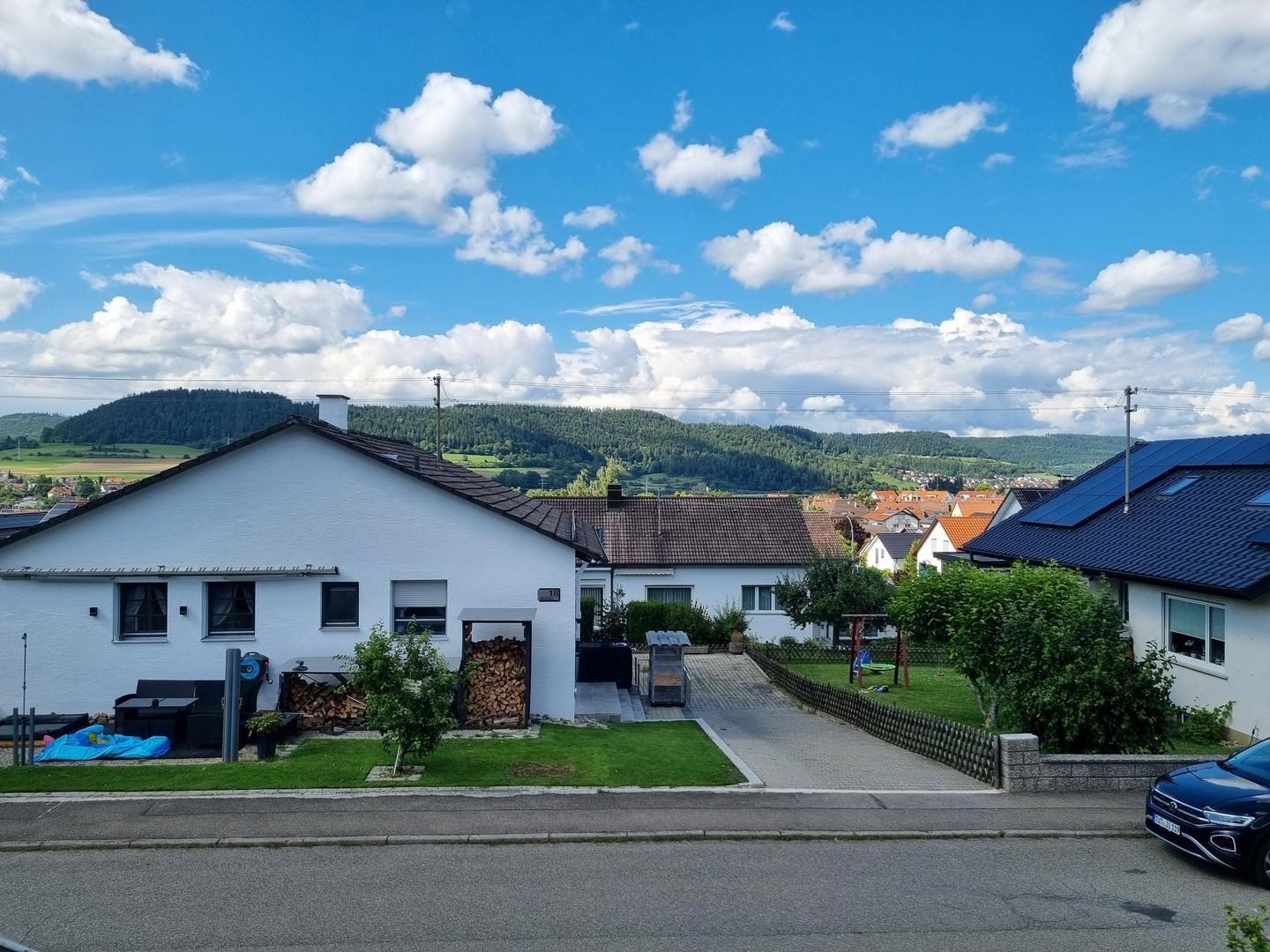 Aussicht über Nendingen