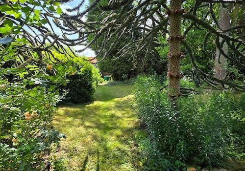 Garten (2)