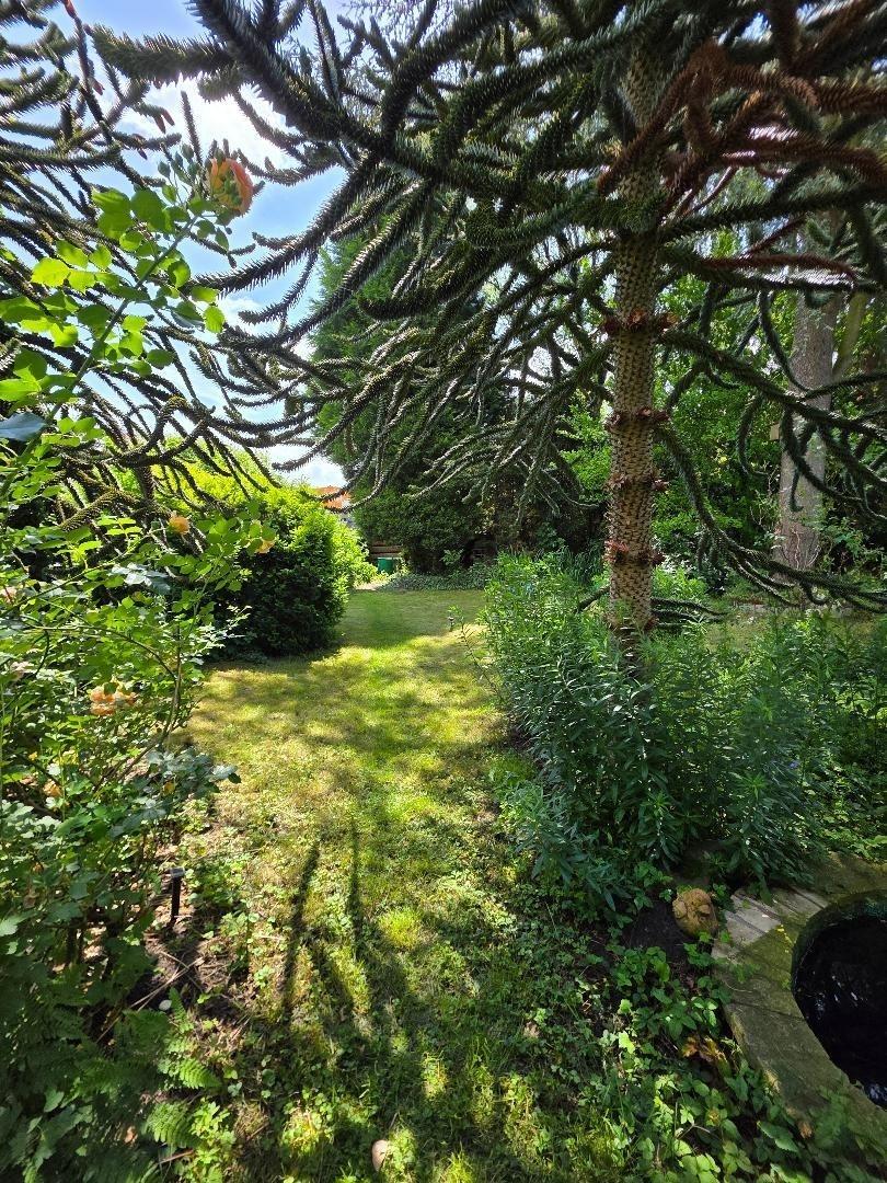Garten (2)