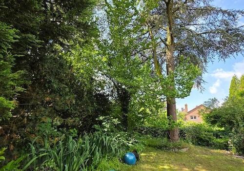 Garten (3)