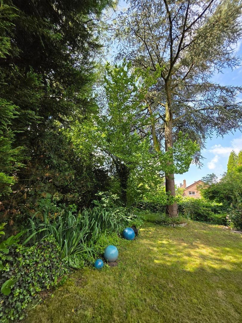 Garten (3)