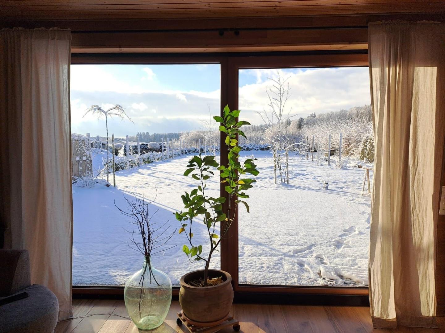 Ausblick Winter