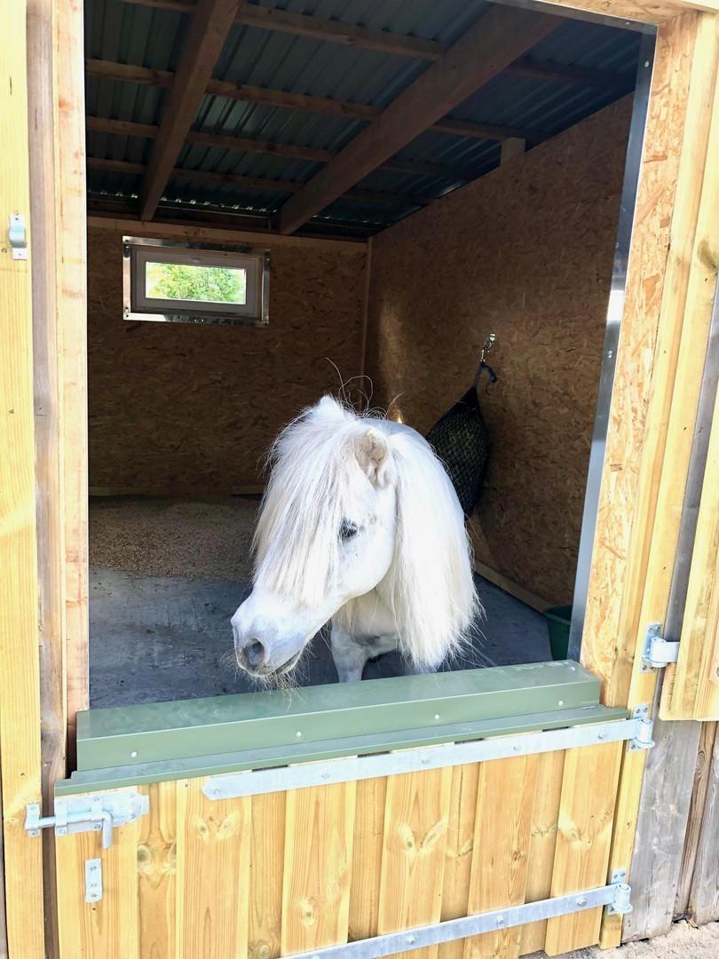 Pferdebox Pony
