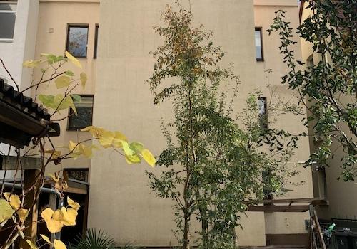 Rückansicht Gebäude vom Garten