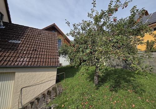Garten mit Obstbäumen