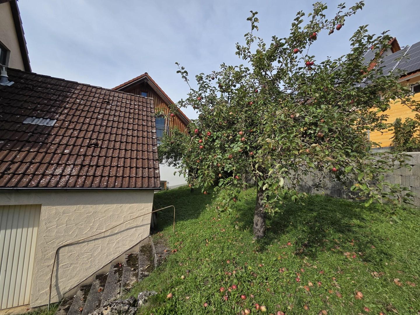 Garten mit Obstbäumen