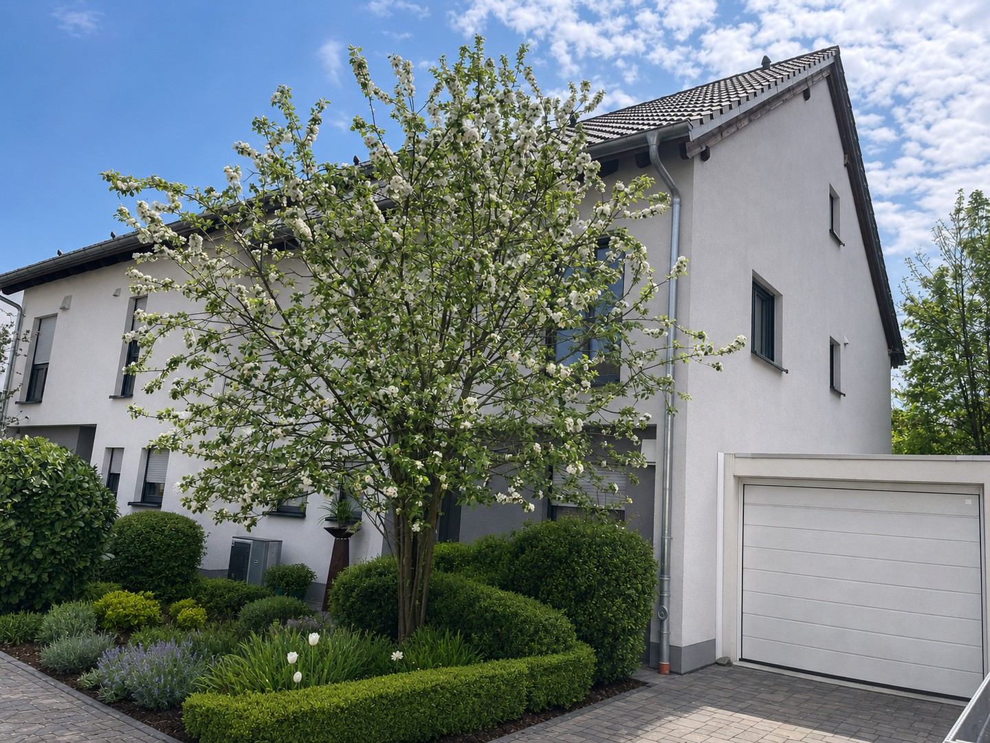 Apfelbaum vorm Haus