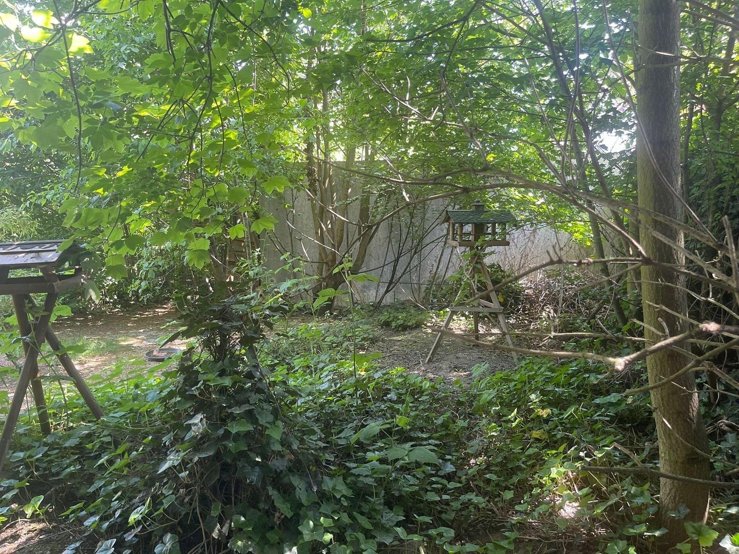 riesiger Garten