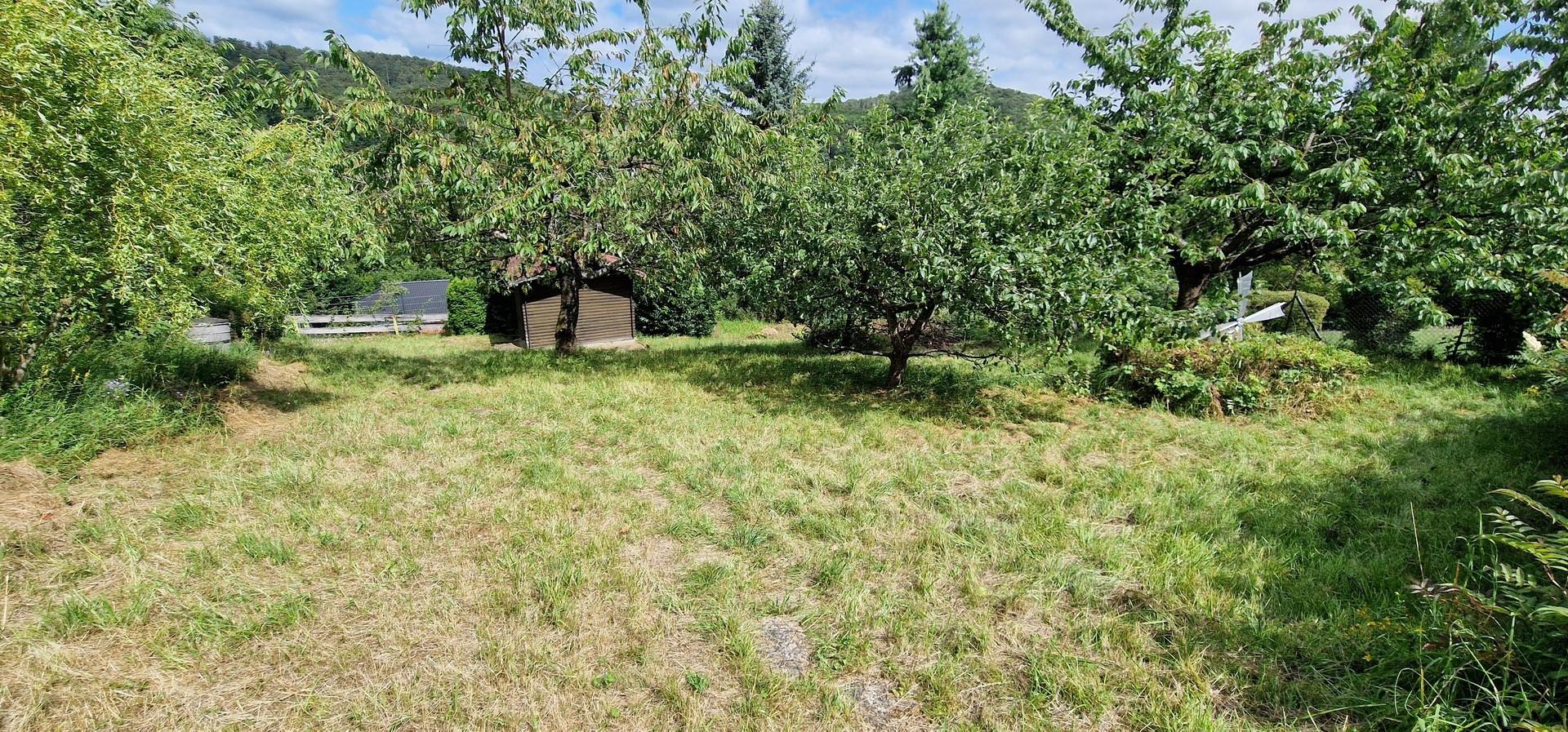 Garten mit Schuppen_Bild 1