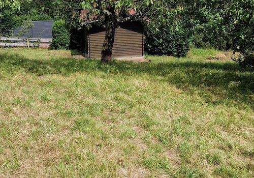 Garten mit Schuppen_Bild 2