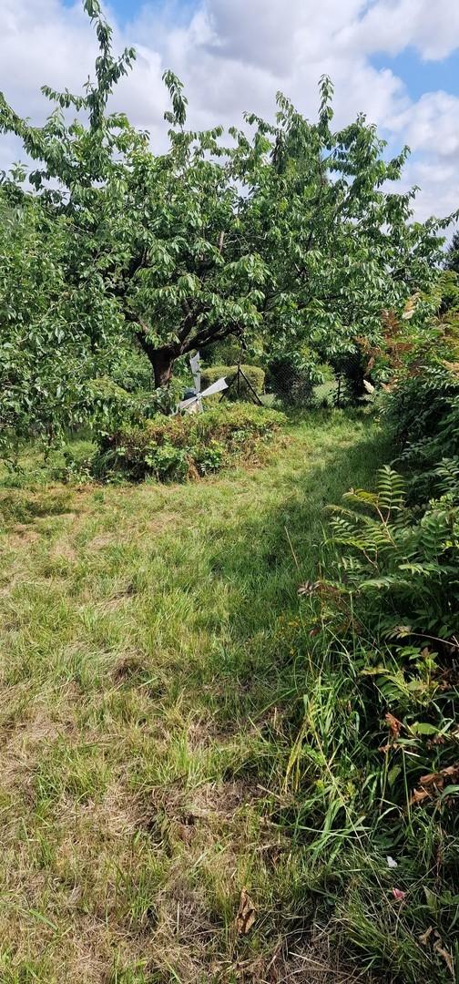 Garten_Bild 1