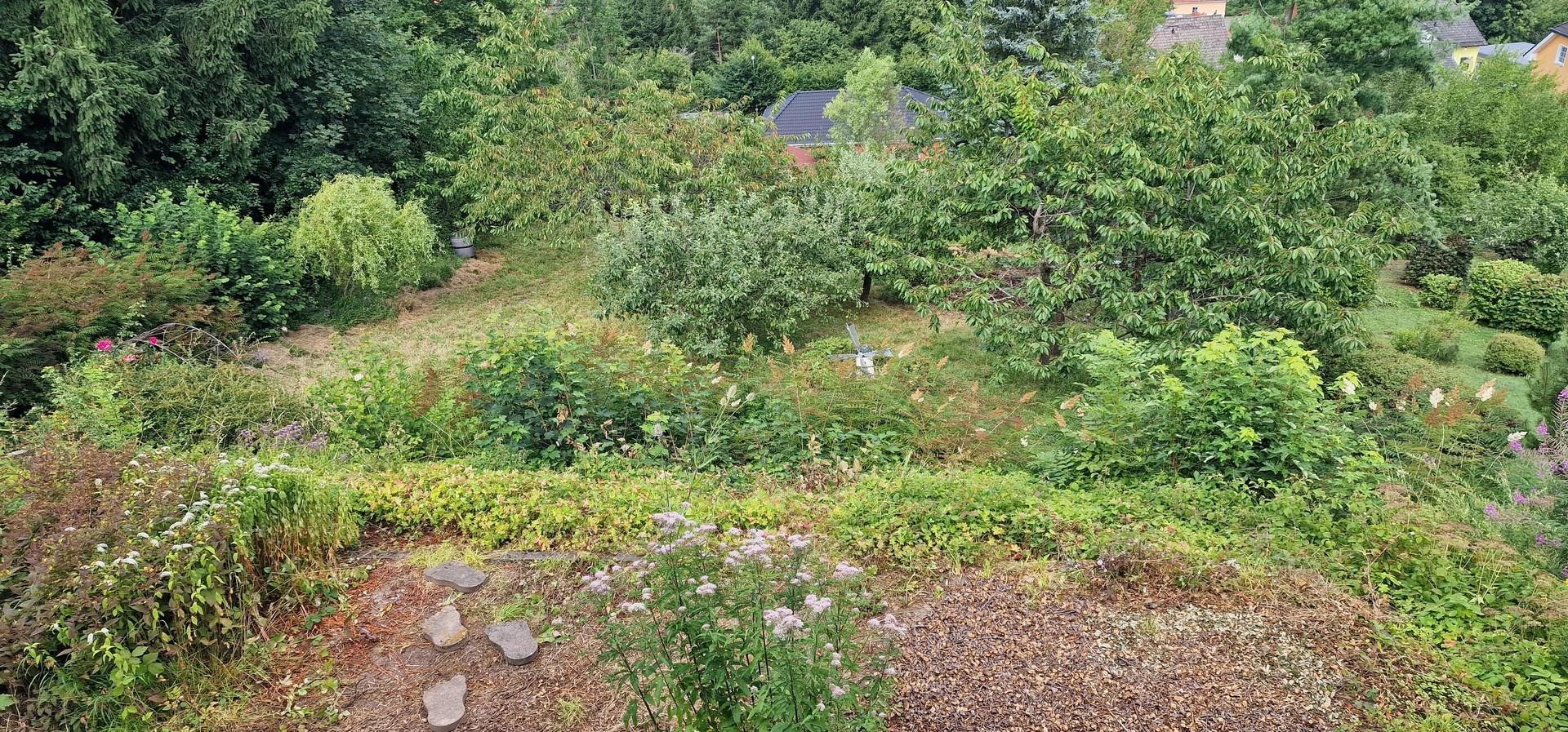 Garten_Bild 2