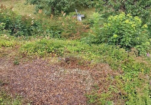 Garten_Bild 3