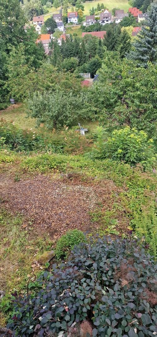 Garten_Bild 3