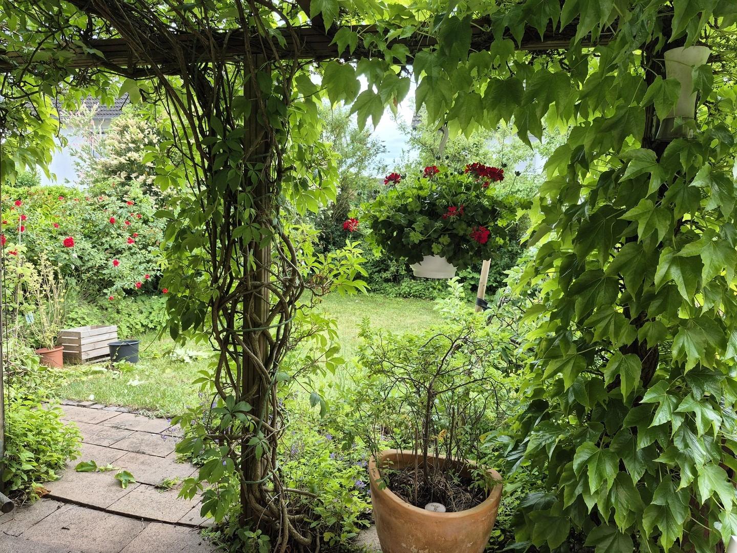 Blick in den Garten