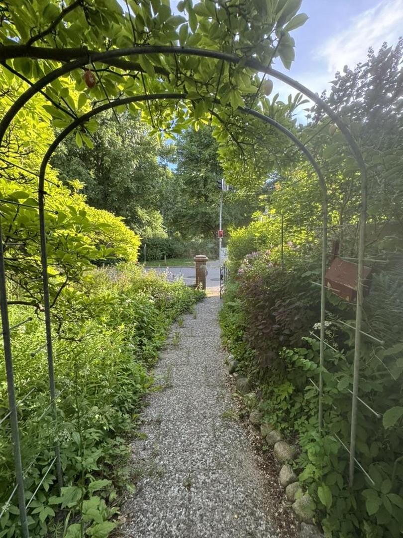 Vorgarten