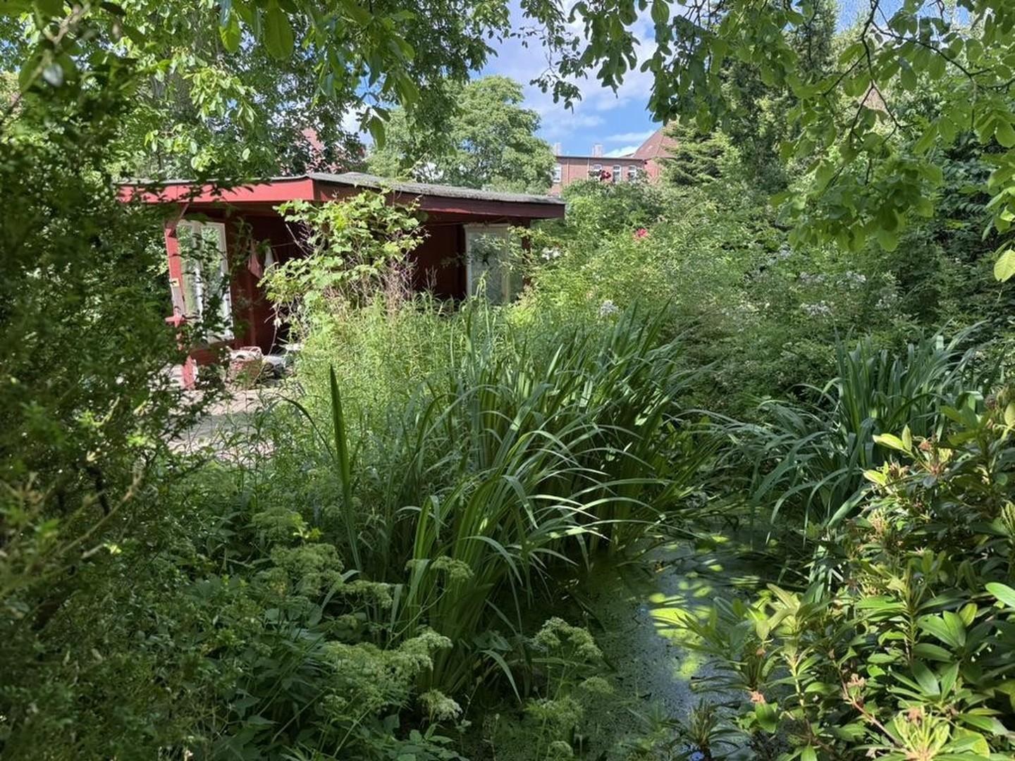 Gartenteich und Laube
