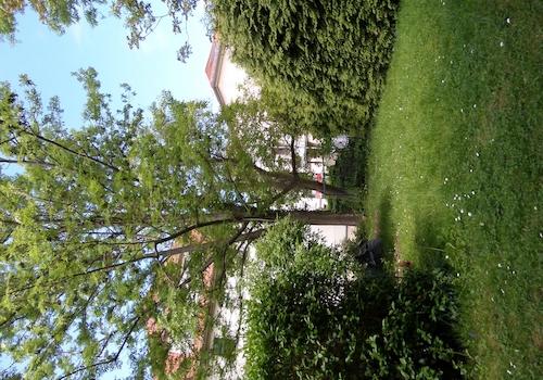 eigener Garten
