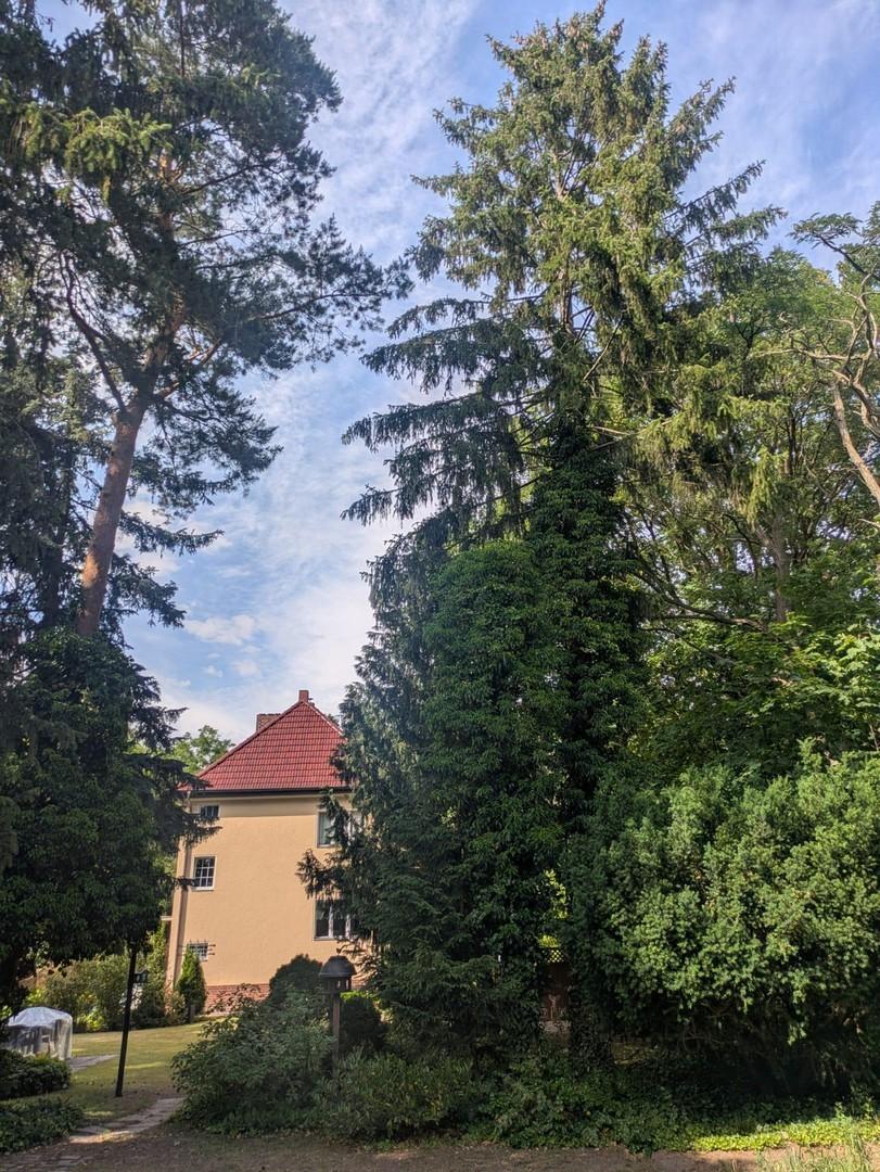 Weitblick auf Haus Original