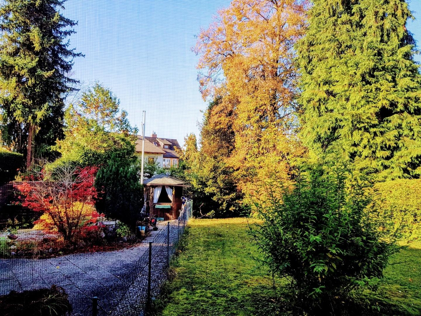 Idyllischer Innenhof