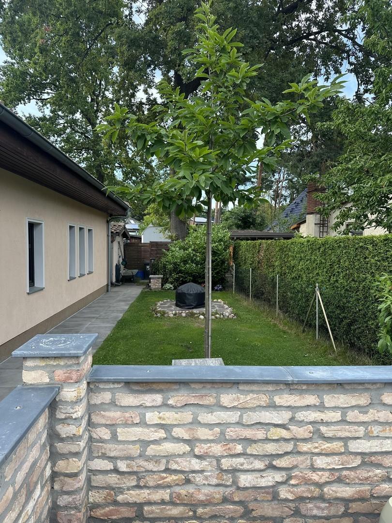 hinterer Garten