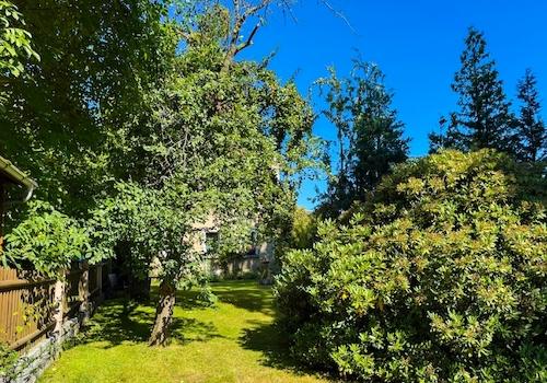 Garten auf Süd