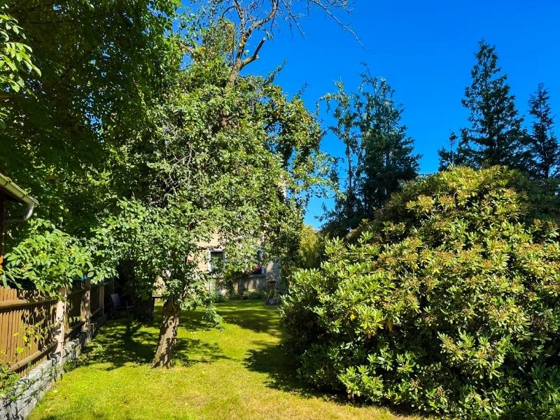 Garten auf Süd