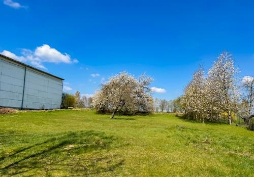 Garten auf Nord (1)