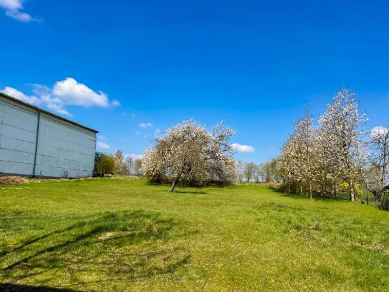 Garten auf Nord (1)