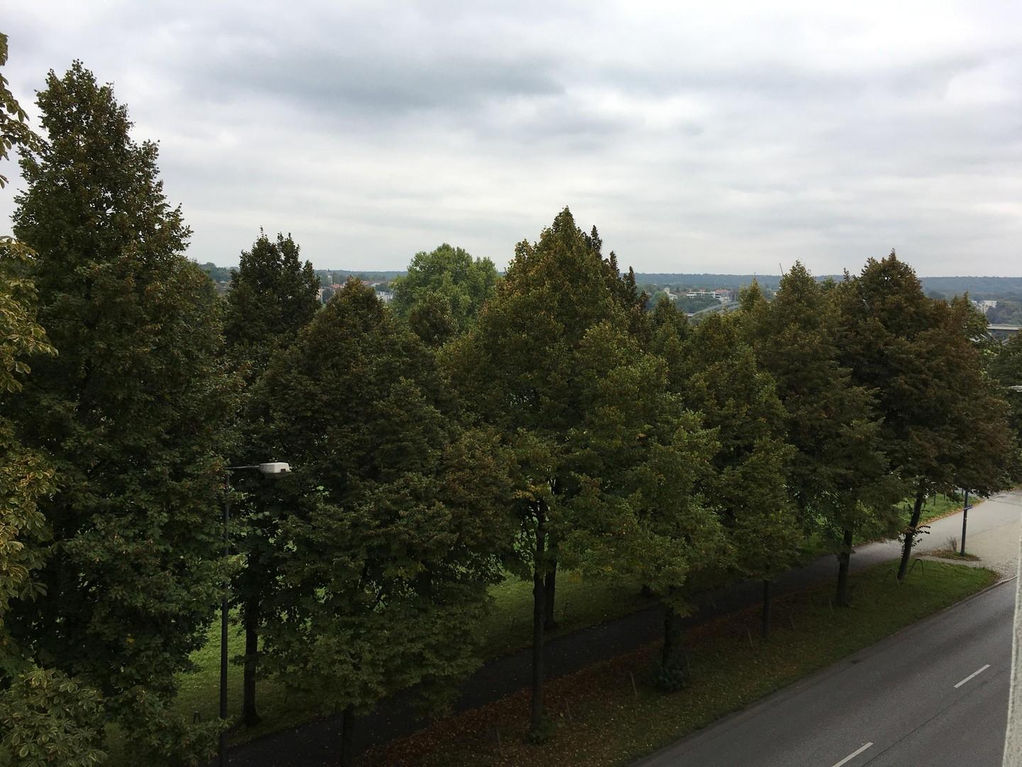 Blick auf die Elbauen