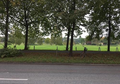 Blick aus der Haustür