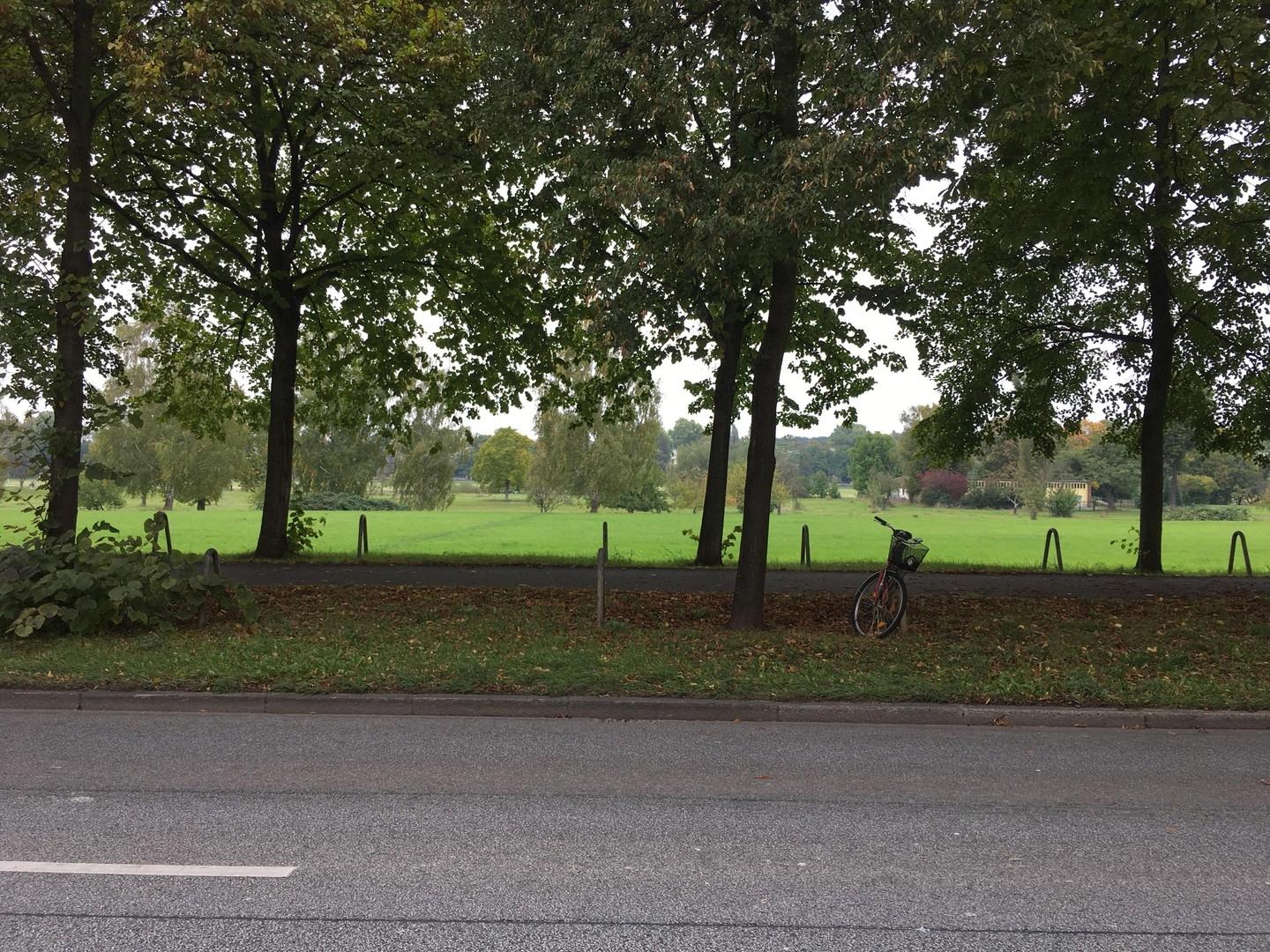 Blick aus der Haustür