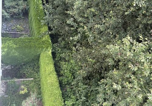 Blick von Terrasse